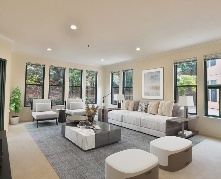 interior shot of apartment home - living room