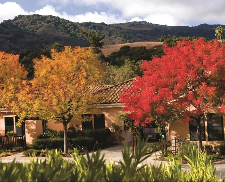 outdoor beauty shot in the fall