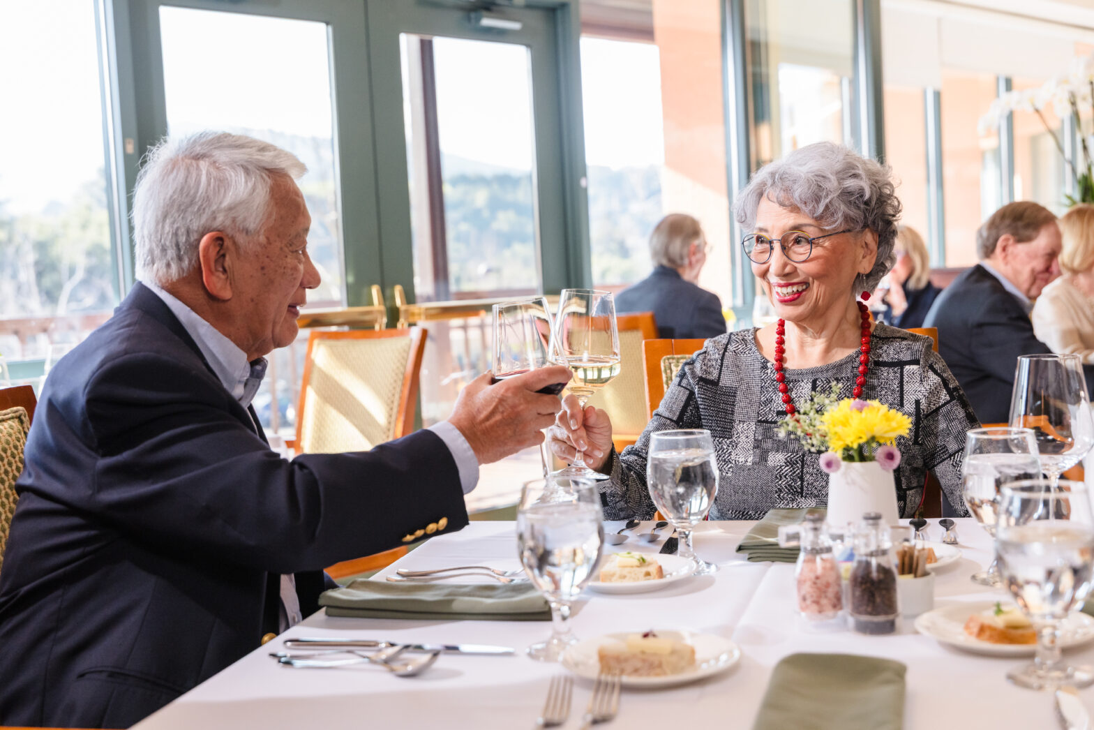 Senior couple in dining room toasting with a glass of wine